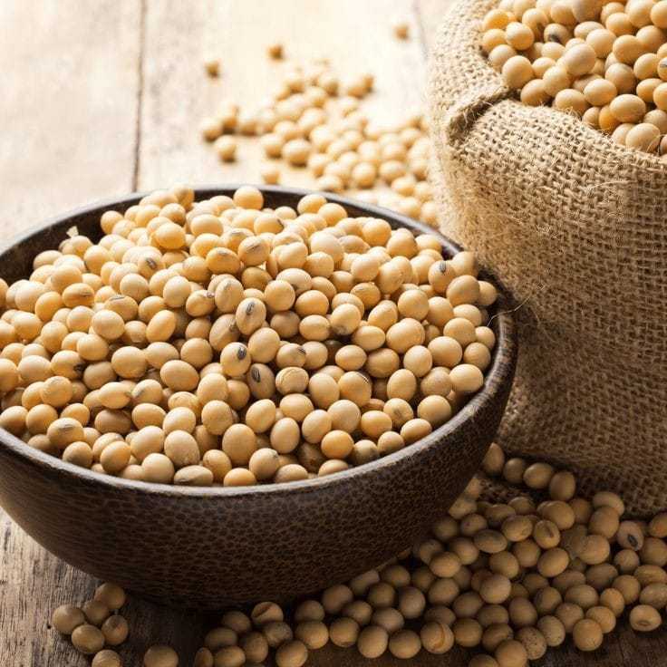 

RASA dan RUPA - KEDELAI Eceran perkilo - Kedelai 1 kg / Kedelai Mentah 1 kg / kedelai murni asli - MURAH PROMO TERBARU - Bisa COD