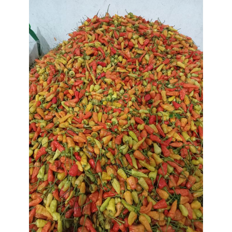 

cabe rawit merah 1kg