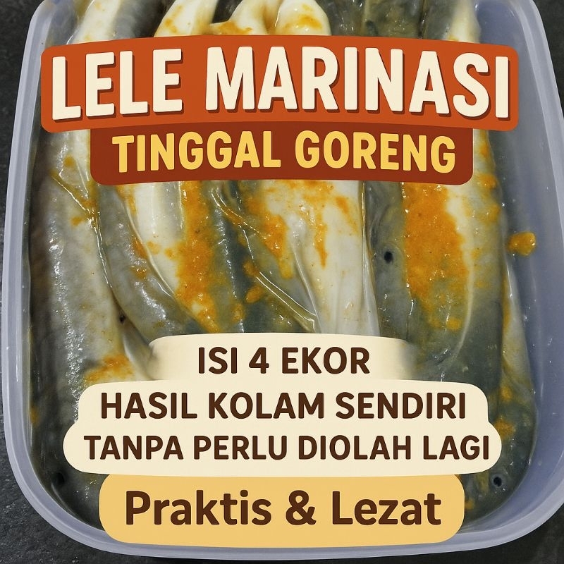 

makanan olahan instan lele marinasi tinggal goreng isi 4 ekor harga terjangkau dan praktis