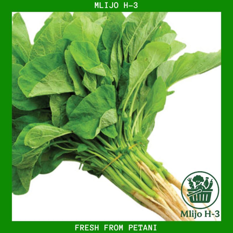 

Sayur Bayam Segar/Fresh, Bersih, 1 ikat