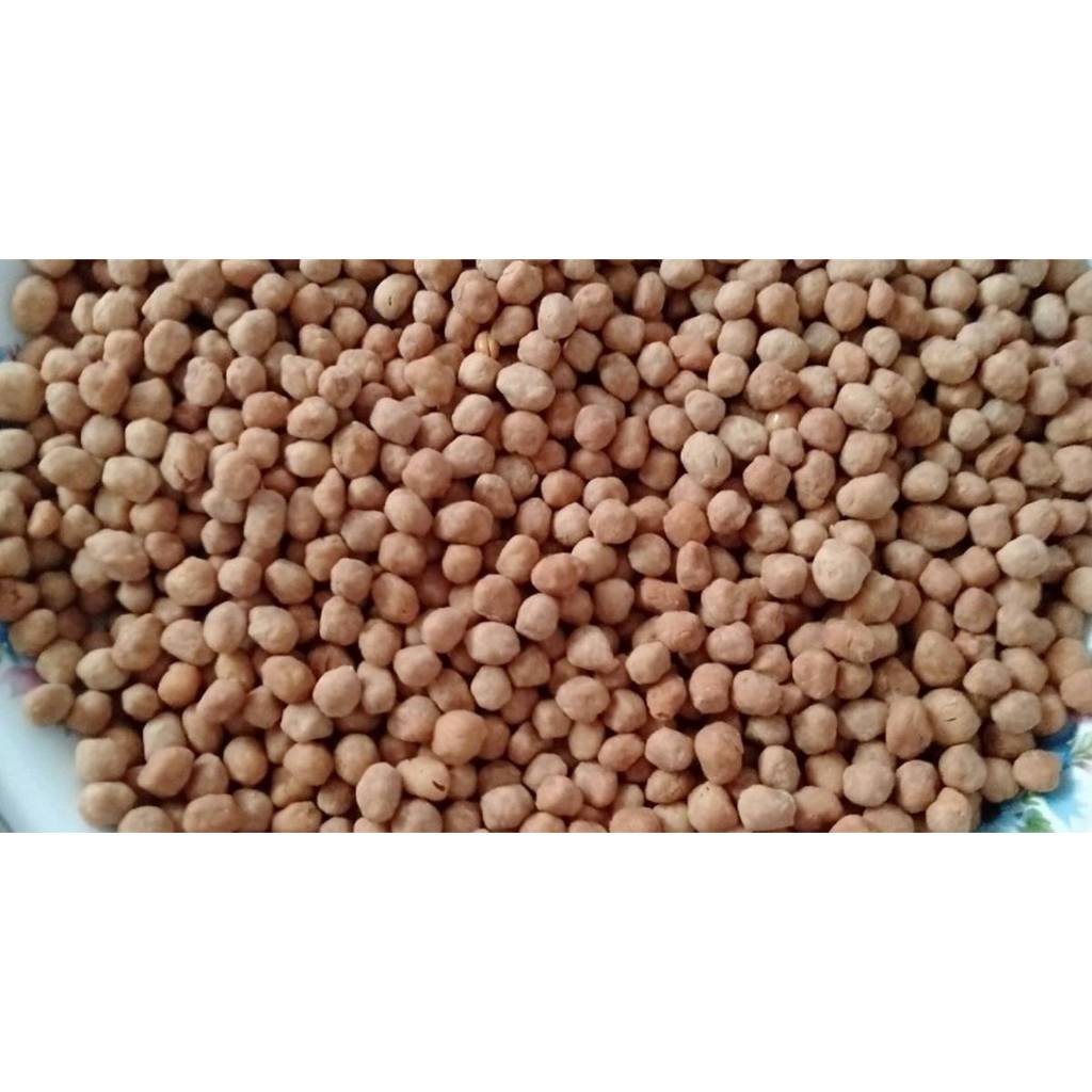 

500 Gr Camilan Gurih Kacang Telor