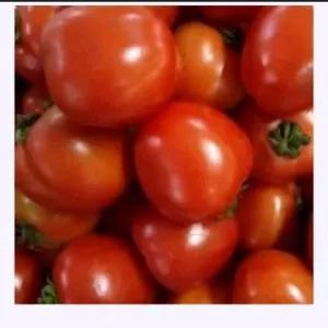 

Tomat Merah 500 Gram