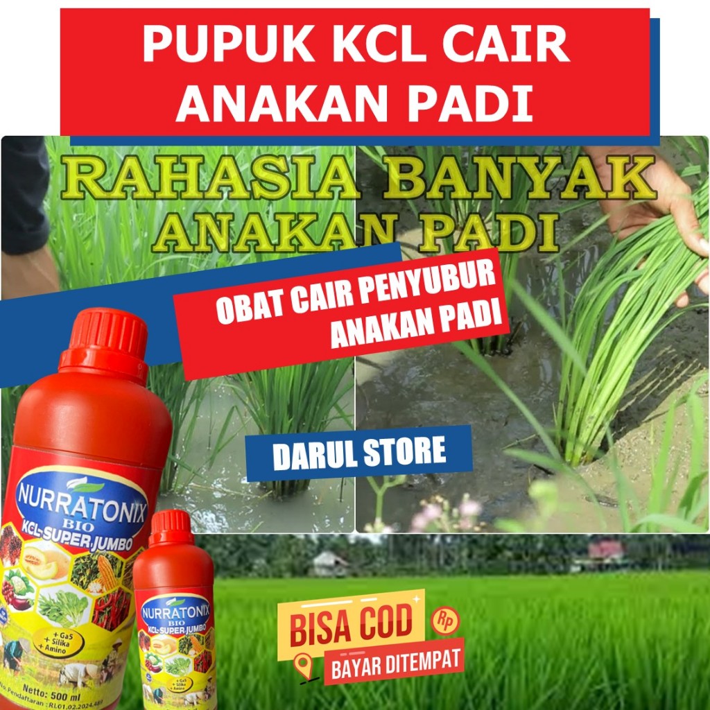 500 ml Kcl Nurratonix Pupuk untuk Masa Pertumbuhan dan Perkembangan Tanaman Anakan Padi, Obat Cair O