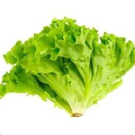 

Selada Keriting 1 Kg