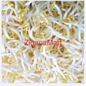 

Toge 250 Gr