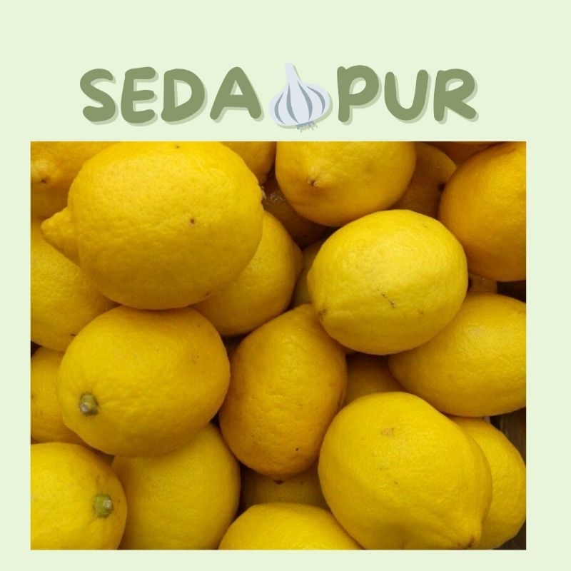 

JERUK LEMON SEGAR 1PACK
