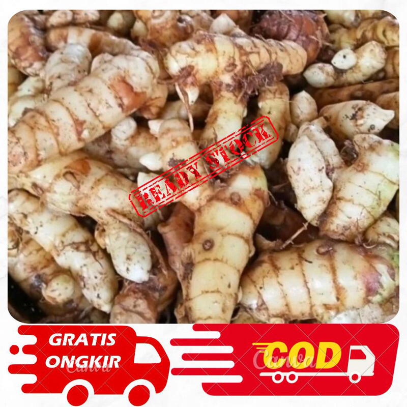 

Kunyit putih 500gram Fresh/Kunyit Putih Asli petani