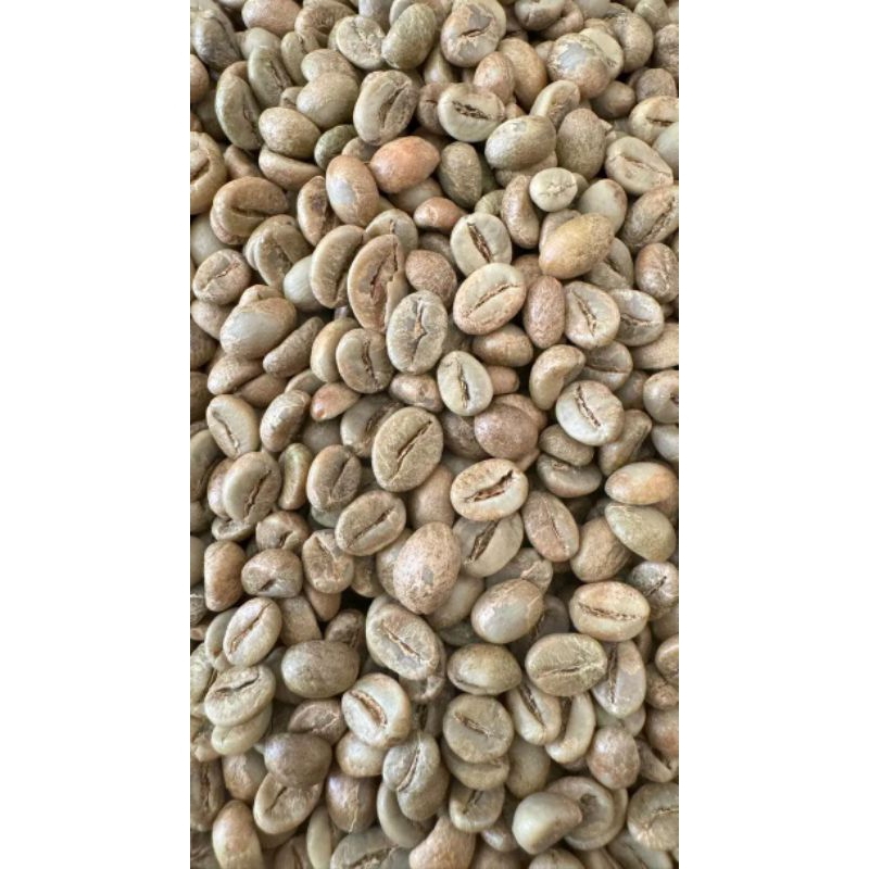 

biji kopi lampung mentah asli 500gram