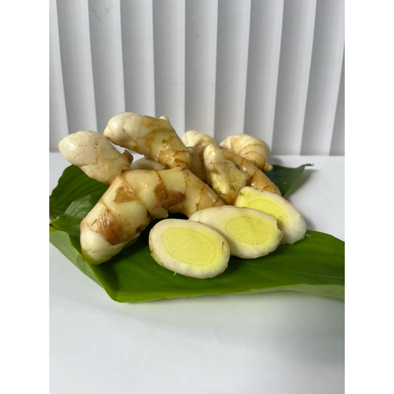 

Kunyit putih temu kunir putih segar curcuma zeodiria 500gram