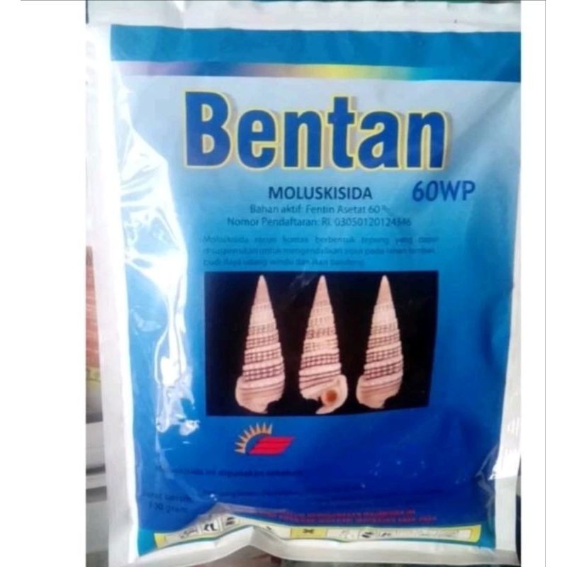 Bentan 60Wp 100 gram