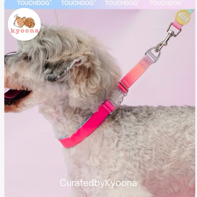 DreamLoop (Vol.1 Go Go Series) - buckle collar