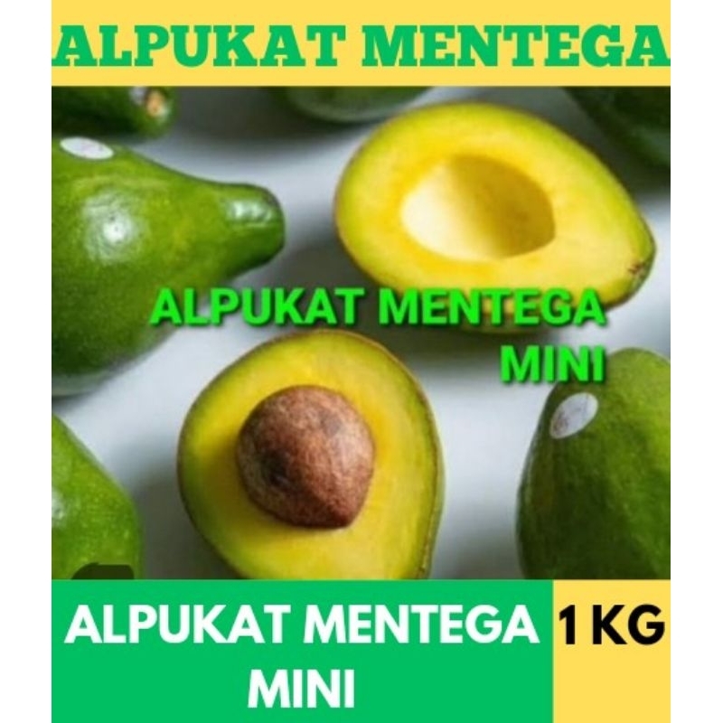 

Alpukat Mentega Mini #alpukat #alpukatmentega #alpukataligatorjumbo