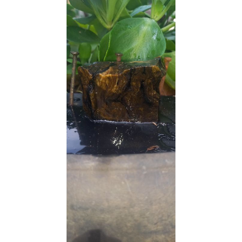 Natural fosil kayu garut 7