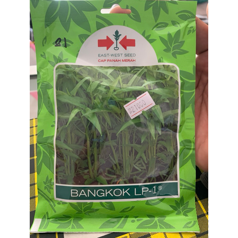 Benih Bibit Kangkung Bangkok LP-1