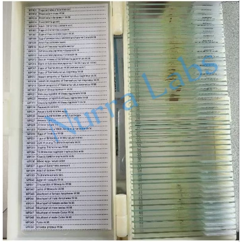 Preparat Parasitologi Medical 50 Slides Import /Preparat Parasitology