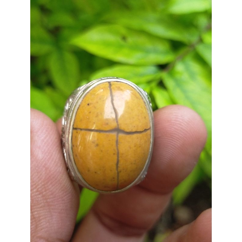 BATU NATURAL BADAR ASEM TAPAK JALAK