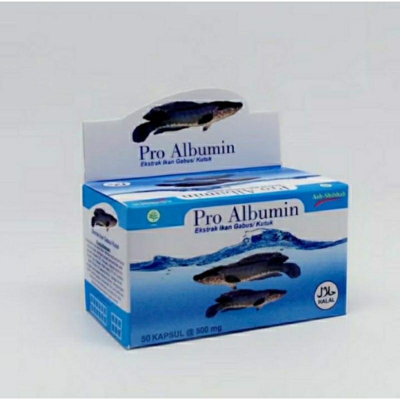 Pro Albumin Ekstrak ikan gabus | Pro Albumin isi 50 kapsul / kapsul kutuk / ekstra kutuk