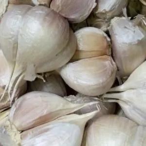 

bawang putih kating 250 gr