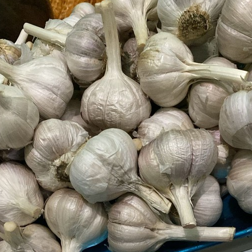

eene Bawang Putih Kating 500 gr - 1 kg - Sayur Online Sidoarjo