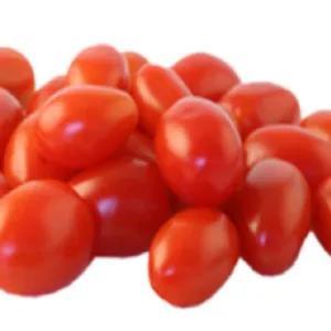 

tomat merah kecil 1kg