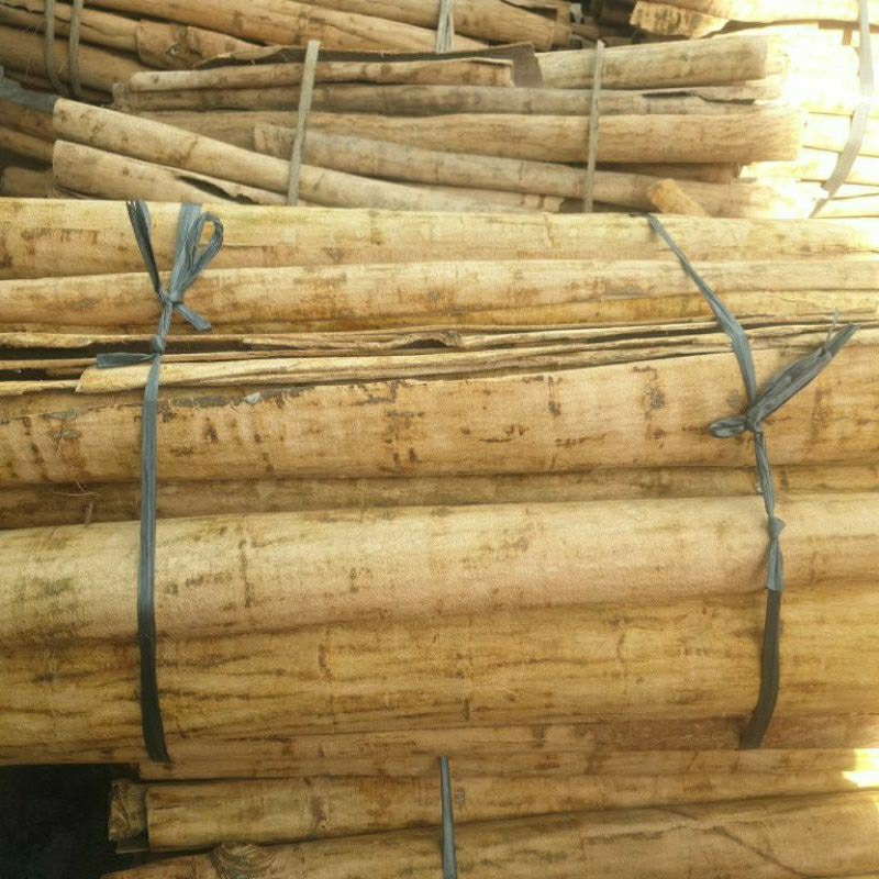 

Kulit Kayu Pule 1Kg Baru