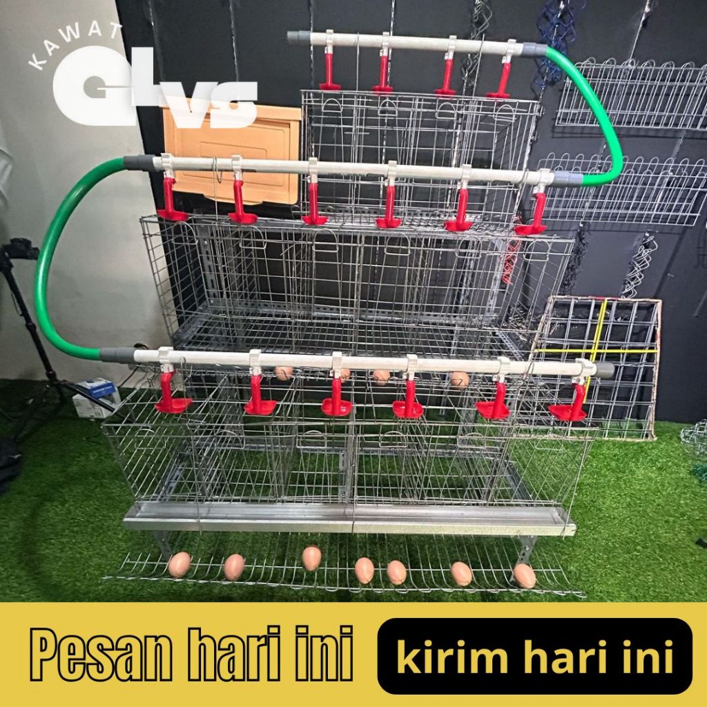 Paket kandang ayam petelur full set 18 ekor | paket kandang ayam petelur full set 24 ekor