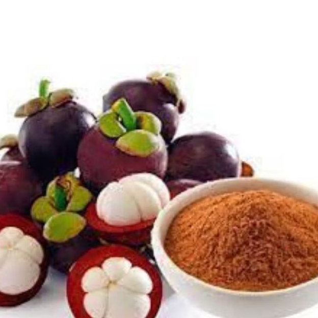 

Bubuk Serbuk Kulit Manggis 1 kg kiloan
