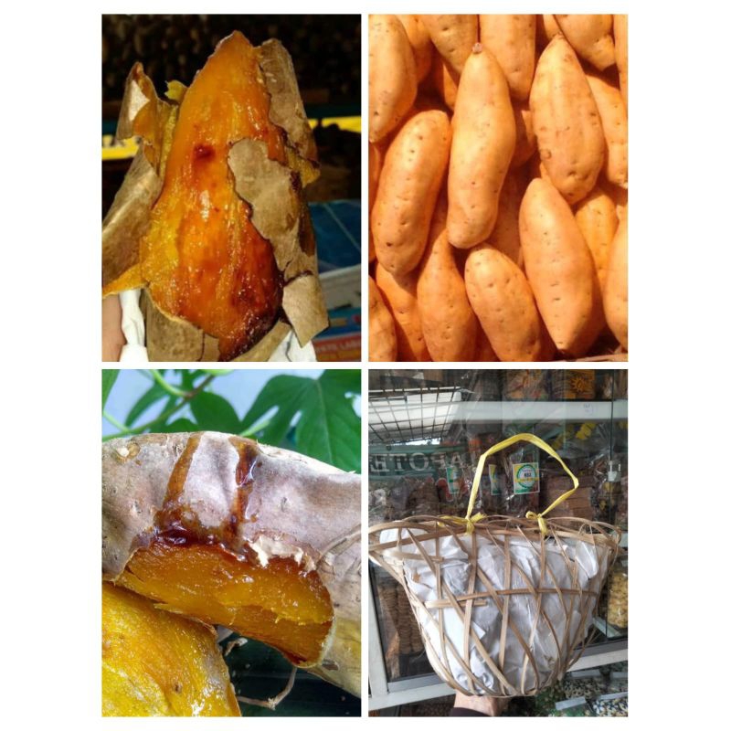 

Ubi Cilembu