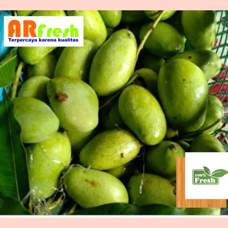 

Mangga Muda 1 kg