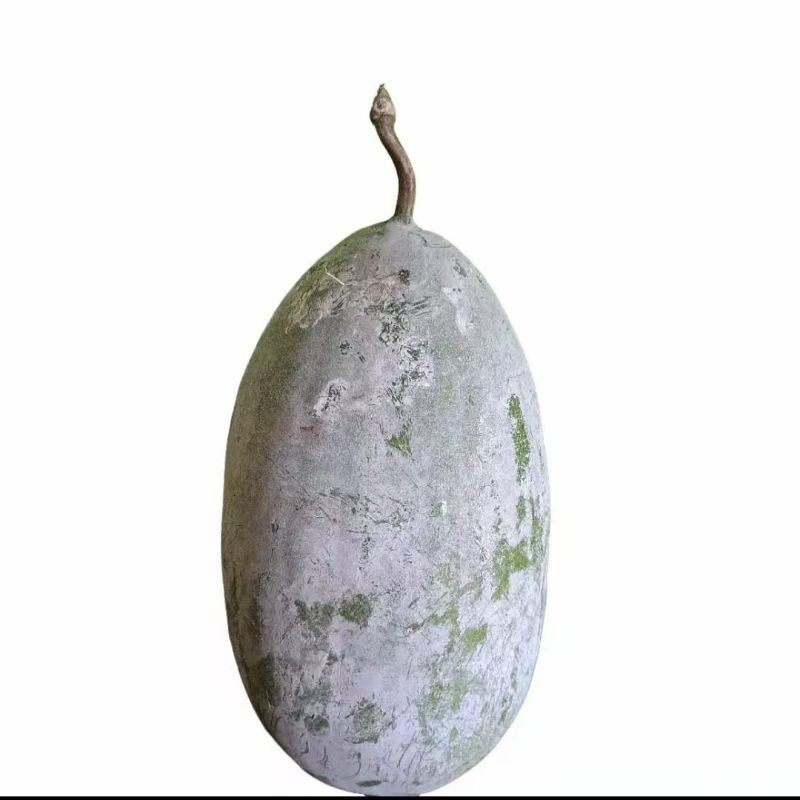

BUAH BLIGO ATAU BUAH KUNDUR BUAH HERBAL