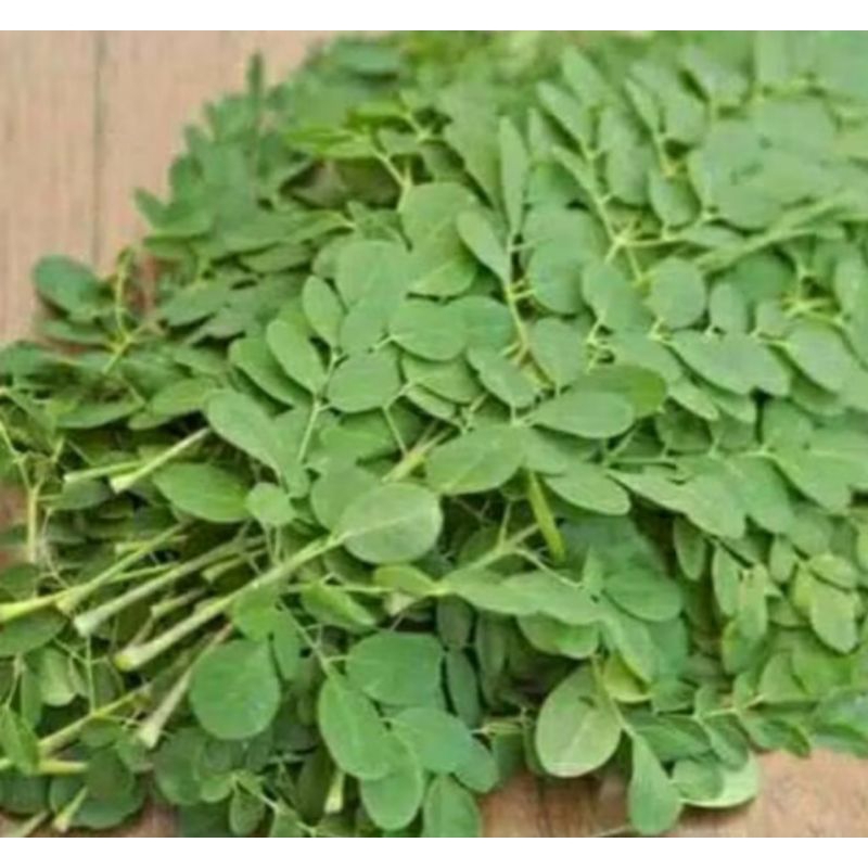 

DAUN KELOR SEGAR 250 g