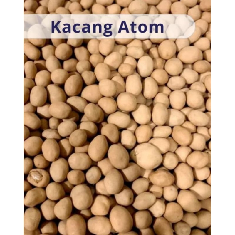 

SNACK KACANG ATOM 500 GRAM