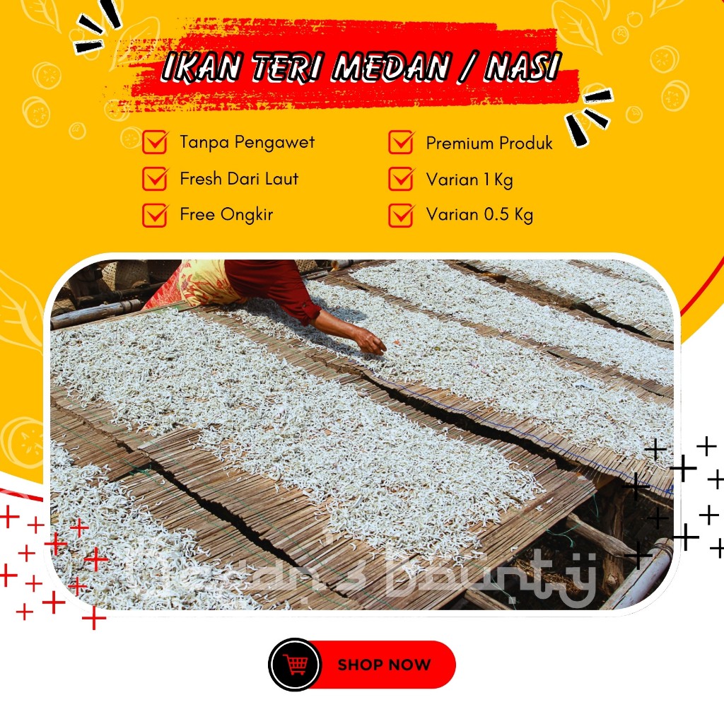 

Ikan Teri Nasi Medan Seafood Ikan Laut Kecil Anchovy 0.5 kg - 1kg Premium