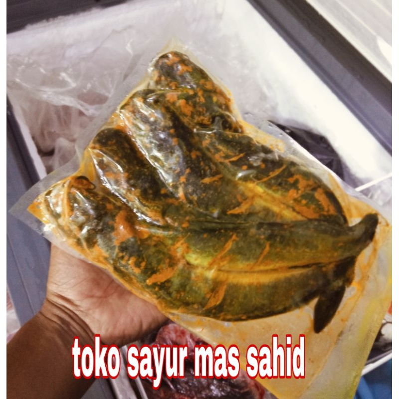 

Lele Premium Marinasi isi 4 ekor ikan Lele Bumbu kuning siap Goreng