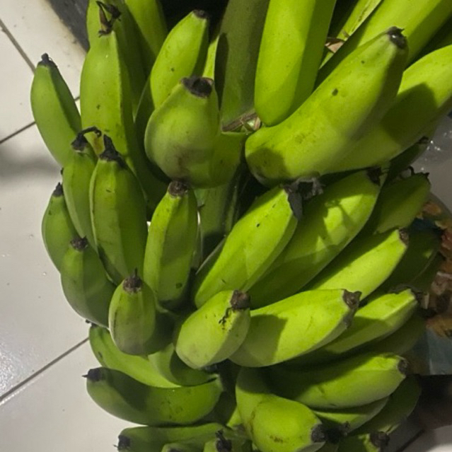 

Buah Pisang Matah Fil RG Prm 1 KG Pisang Mentah