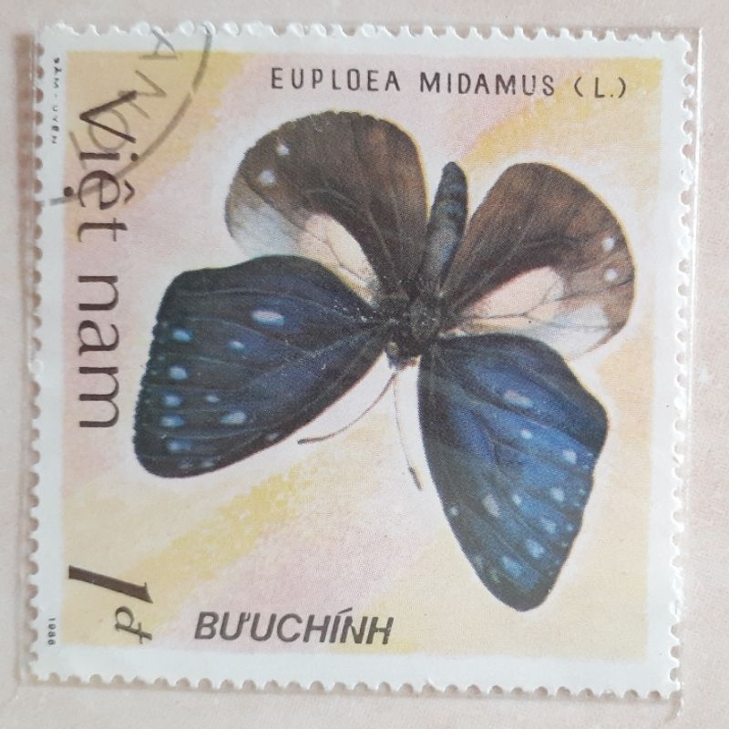 

(AS1) Perangko Vietnam Butterflies Tahun 1987 - Perangko Luar Negeri