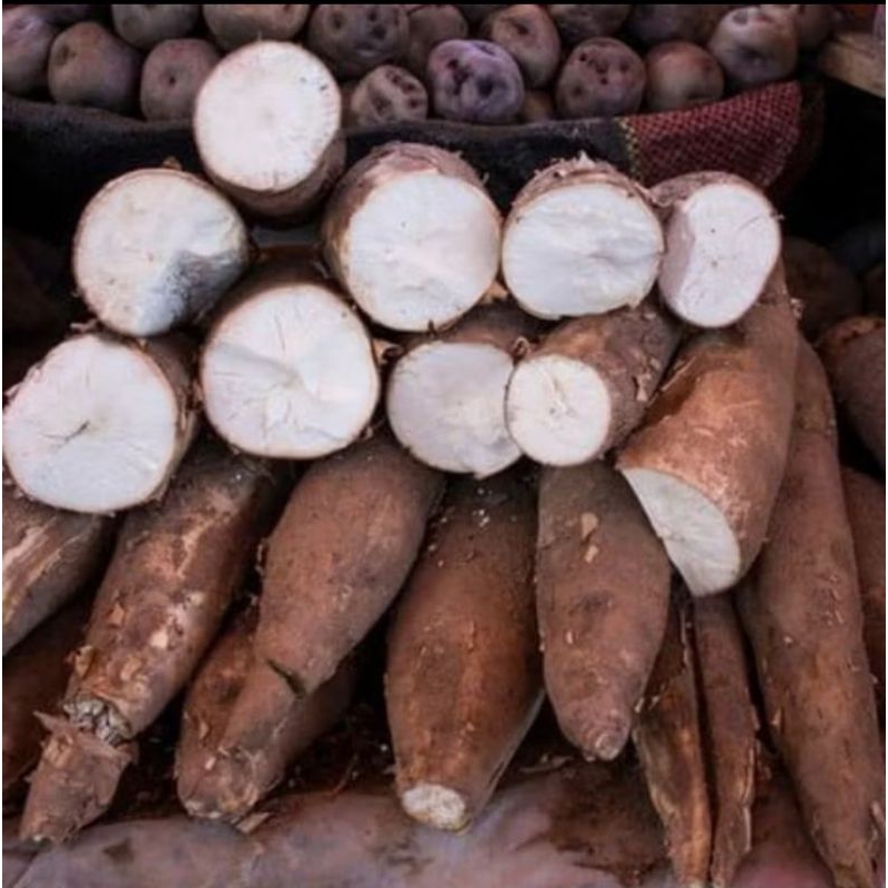 

singkong pulen mentah 1 kg