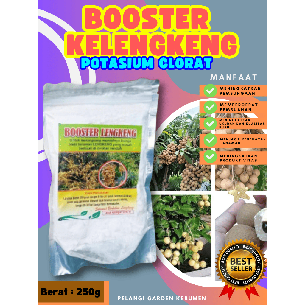 UNGGULAN  Booster Buah Kelengkeng Sudah Berbunga, Booster Buah Kelengkeng Siap Berbuah