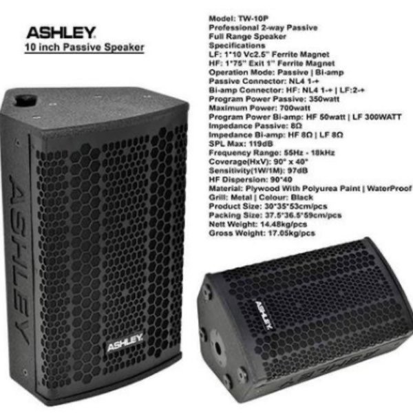 SPEAKER PASSIVE ASHLEY TW 10P 10 INCH TW10P FULL RANGE 2WAYY