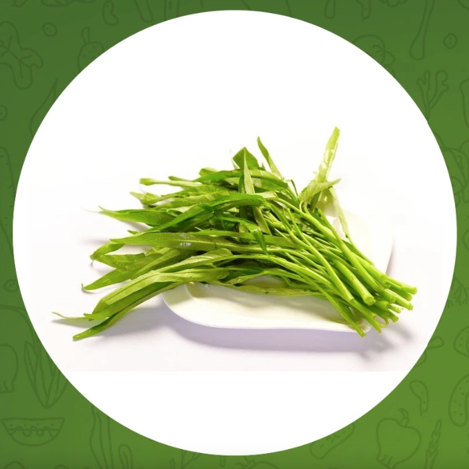 

KANGKUNG AKAR 1IKAT