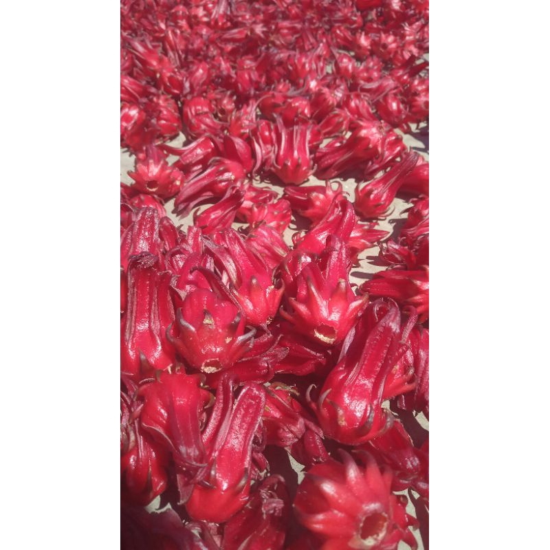 

bunga rosella merah kering.1 kg