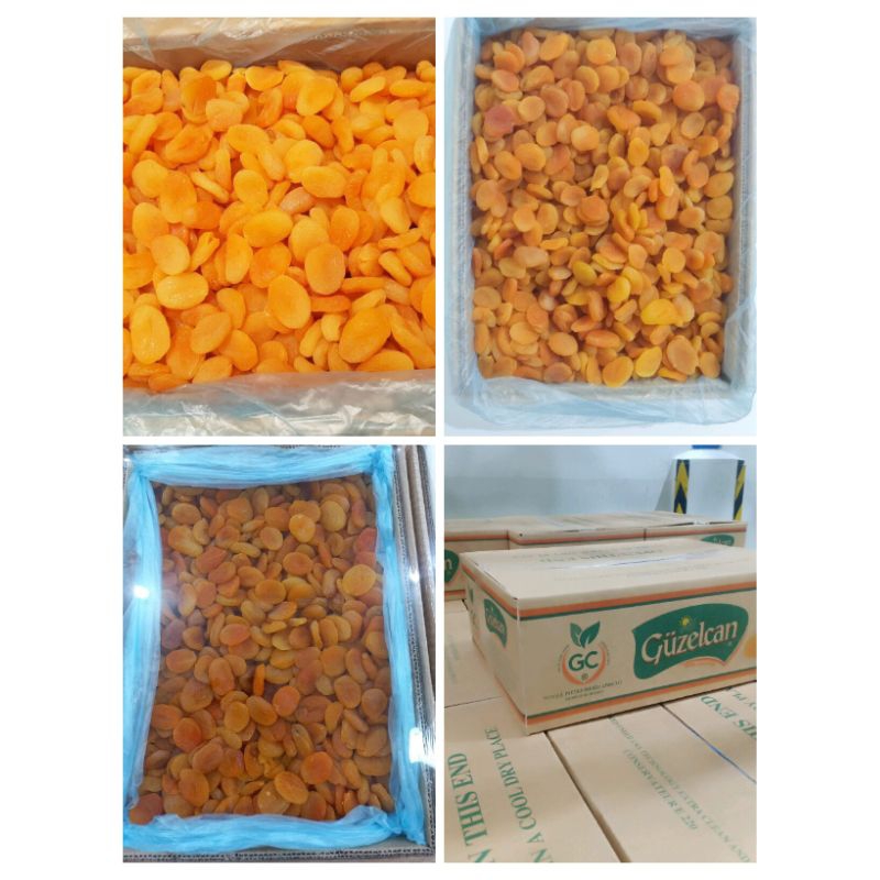 

Buah Aprikot Kering Turki Guzelcan