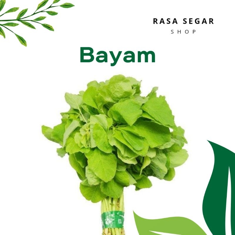 

Bayam Segar Organik 250gr – Sayur MPASI / Masak Bening / Tanpa Pestisida
