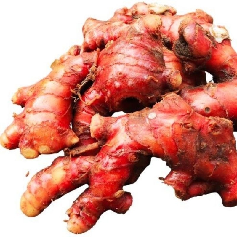 

JAHE MERAH SEGAR 250GR