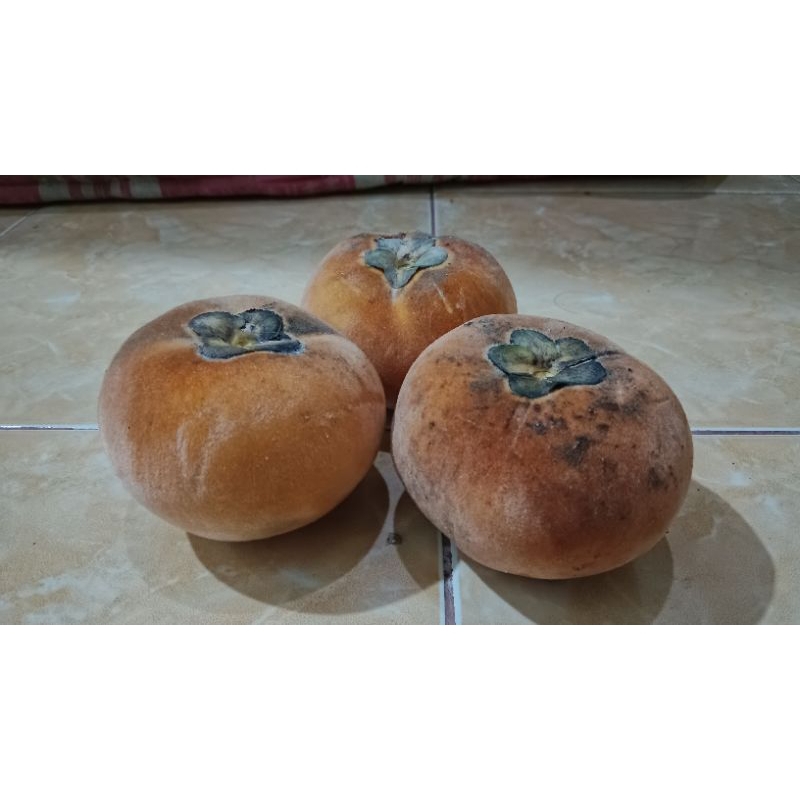 

Promo termurah buah bisbul langka viral