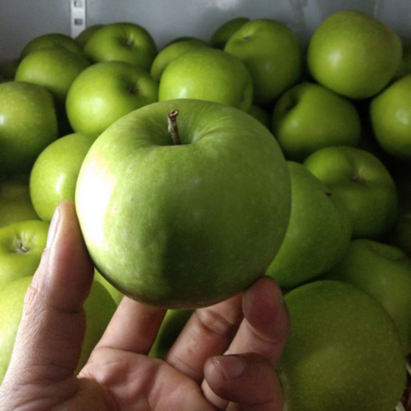 

Apel hijau manis 500gram/ buah apel hijau manis 500gram