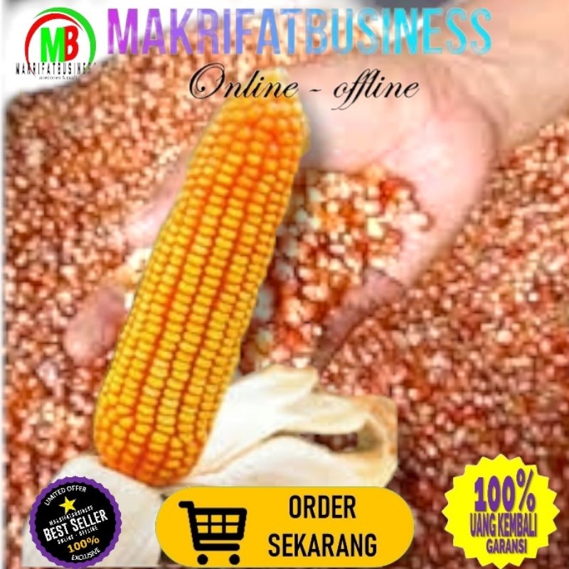 

MAKRIFATBUSINESS Paket 250 gram JAGUNG PIPIL HIBRIDA Kwalitas Bersih Untuk Konsumsi Pakan Ternak Bibit Serta Keperluan lainnya
