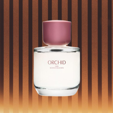 PARFUM ZARA ORCHID EDP ORIGINAL PARFUM WANITA