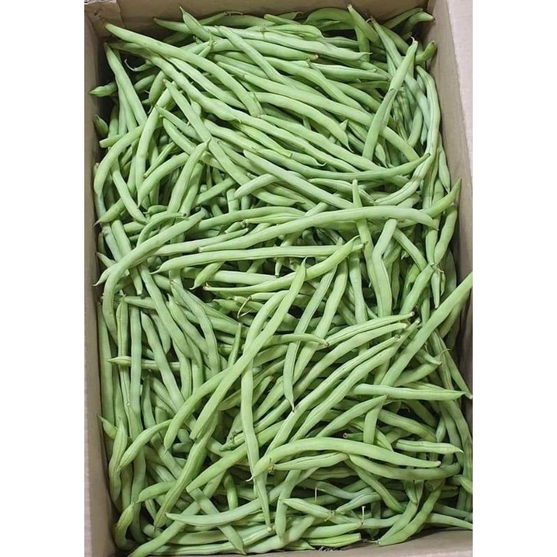 

Sayur Buncis Segar