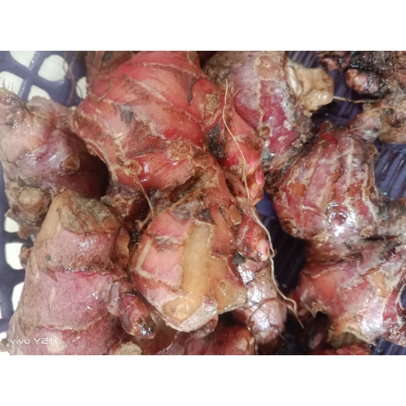 

jahe merah 250/Gram